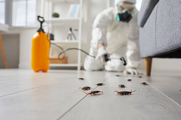 Trusted Cockroach Control service in Wenonah, NJ - Nex Pest Control