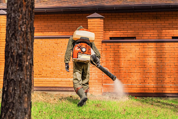 Trusted Emergency Pest Control service in Wenonah, NJ - Nex Pest Control